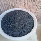 بذور بصل للبيع.