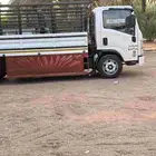 ديانا شبك 5متر طالع من العلا إلى تبوك