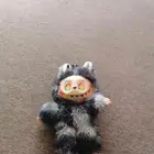 لابوبو نادر للسوم