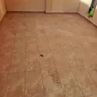 مبلط بلاط الجميع النواع