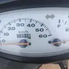 دباب بطه للبيع الدباب أموره طيبه