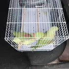 موصل طيور حيوانات اليفه أمانات