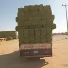 الرياض. برسيم. طيب. مره. حق. المزنب. العدد. 250. حبه.