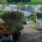 مشتل زراعية طبيعي