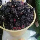 وصل مكه مع توصيل مجاني توت طايفي حامض حلو وحماط سكري