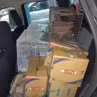 موصل طيور حيوانات اليفه أمانات