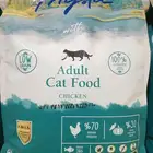 للبيع اكل قطط الشوارع كمية كبير اسعار ببلاش