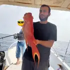 متوفر عندنا رحلات بحرية ليل ونهار على قاربنا المتواضع سحاب