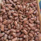 تمر صفري حبه وسط