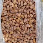 اخلاص للبيع حبه طيبه 150كرتون الموقع ساجر