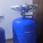 دوافير ايطاليه مع رأس إيطالي جديد