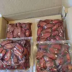 تمر صفري كبار