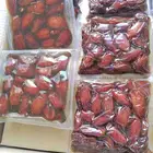 تمر صفري جمله حبه وسط