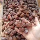 تمر سري كميه كبيره