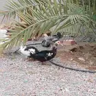 بطتين ومعهم ذكرهم وماشاء الله تبيض وبيضها وافر