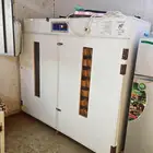 فقاصة بحالة ممتازة للبيع