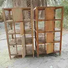 اقفاص