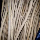 مسواك ربطه ب 35 والثاني مجانا عرض الجمعه عرض 6   11