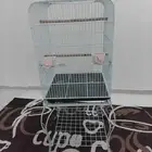 قفص كاسكو حجم كبير مستخدم