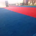 بيع وفرش وتركيب جميع النجيل الصناعي والثيل للمدارس والملاعب