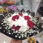 حي موسى
