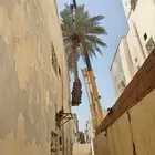 معلم قص شجر وترتيب حدائق وتكريب نخيل وقص نخل