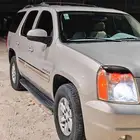 يوكن قصير الأحساء
