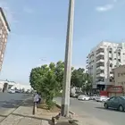 معلم قص شجر ونخل بجده