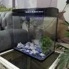 حوض سمك نظيف يعتبر جديد