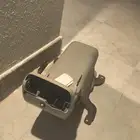 حامل اكواب فورد كراون فيكتوريا من دون غطاء ومرتبة وسطيه