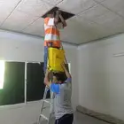 شركه مكافحه حشرات با طائف