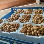 العنوان الدمام حي الضاحيه
