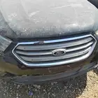 فرد تورس 2019