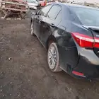 كرال مديل 2015