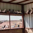 حمام مشكل للبيع