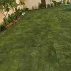 الزراعة الثيل الطبيعي وتركيب شبكات الري العادي والاتوماتيك