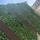 الزراعة الثيل الطبيعي وتركيب شبكات الري العادي والاتوماتيك