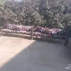 جلسة خارجية