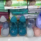 مشربيه قطط ماكليه قطط قطه بساس اكاله ذكيه
