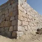 النماص تنومه ابها الخميس بني عمرو حلباء العلا