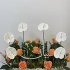 تنسيق ستاندات على حسب الطلب مع امكانيه اضافه اسم او عباره