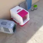 مستلزمات قطط للبيع بالخرج