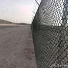 أنا مقوال شبوك جميع انواع الشبوك متواجد في تبوك