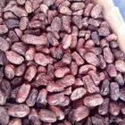يوجد لدينا خضري حبه وسط
