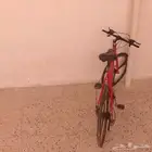 رقم الجوال