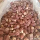 تمورللبيع