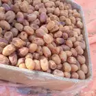 يوجد لدينا خلاص ساجر