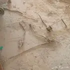 عصا دبل خياره مديل 75 للبيع
