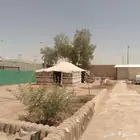 للبيع بيت شعر المساحة 11 6 عمره سنتين