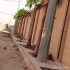 تكريب الواشنطن